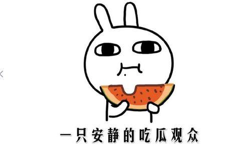 吃瓜群众表示什么意思,网络时代的围观力量